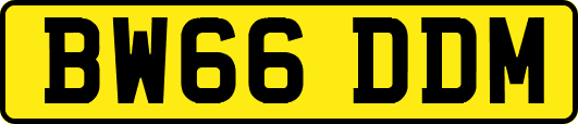 BW66DDM
