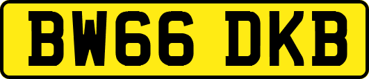 BW66DKB