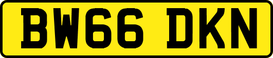 BW66DKN