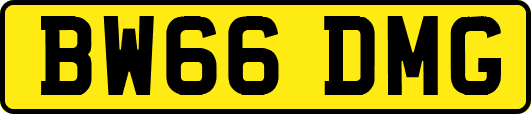 BW66DMG