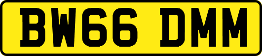 BW66DMM