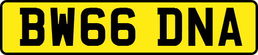 BW66DNA