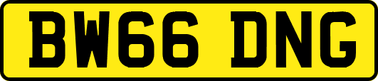 BW66DNG