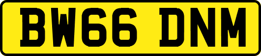 BW66DNM