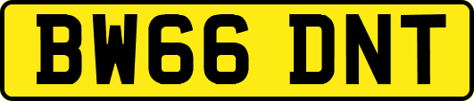 BW66DNT