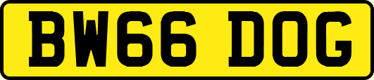 BW66DOG