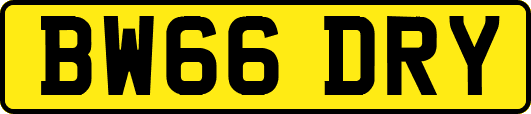 BW66DRY
