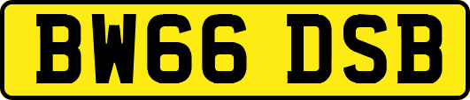 BW66DSB