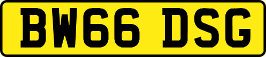BW66DSG