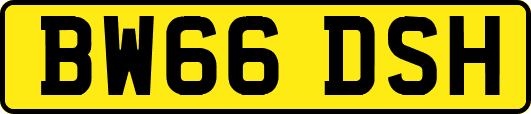 BW66DSH