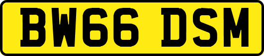BW66DSM