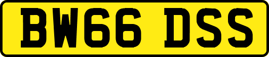 BW66DSS