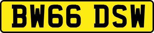 BW66DSW