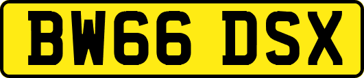BW66DSX