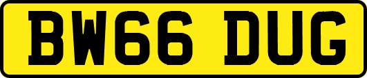 BW66DUG