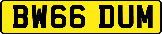 BW66DUM
