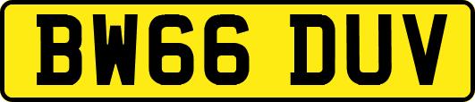 BW66DUV