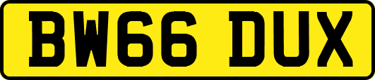 BW66DUX