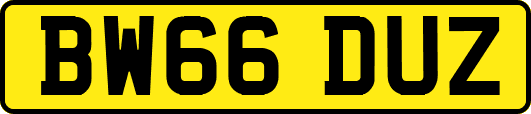 BW66DUZ