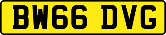 BW66DVG