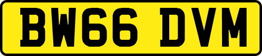 BW66DVM