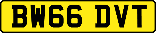 BW66DVT