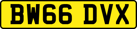 BW66DVX