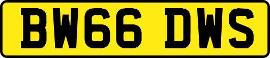 BW66DWS