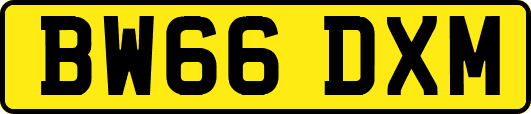BW66DXM
