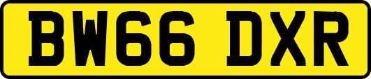 BW66DXR