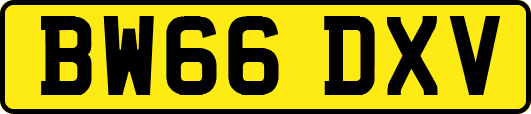 BW66DXV