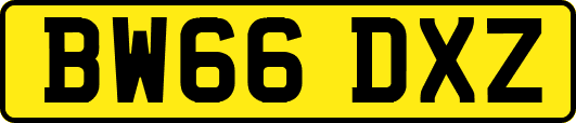 BW66DXZ