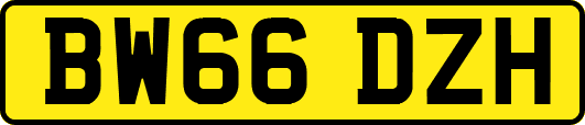 BW66DZH
