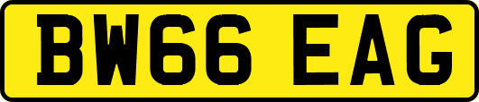 BW66EAG