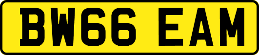 BW66EAM