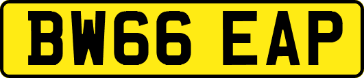 BW66EAP