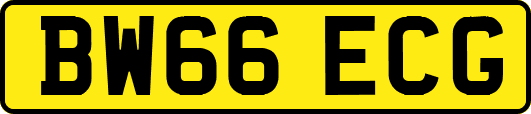BW66ECG