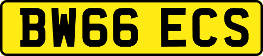 BW66ECS