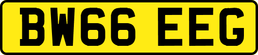 BW66EEG