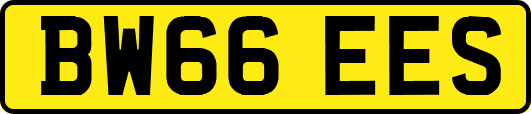 BW66EES