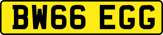 BW66EGG
