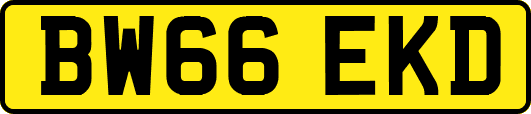 BW66EKD