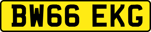 BW66EKG