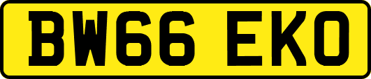 BW66EKO