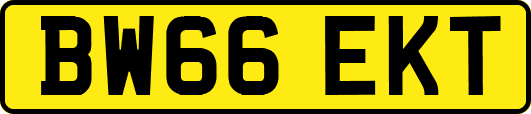 BW66EKT
