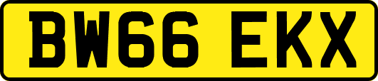 BW66EKX