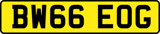 BW66EOG