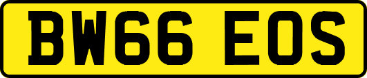 BW66EOS