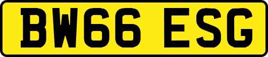 BW66ESG