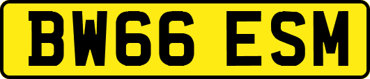 BW66ESM